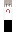 Fiuc Minecraft Skin