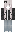 acumensans Minecraft Skin