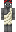 Waspinn Minecraft Skin