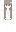 ripxartyvv Minecraft Skin