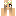 Bloxy Minecraft Profile