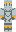 Bustom Minecraft Skin