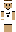 yungcamowrld Minecraft Skin