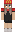 DieKawasakiZ900 Minecraft Skin