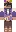 Swrdom Minecraft Skin